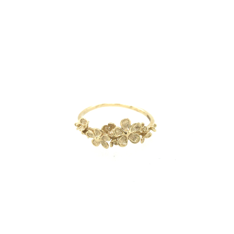Gouden ring ref. 15880