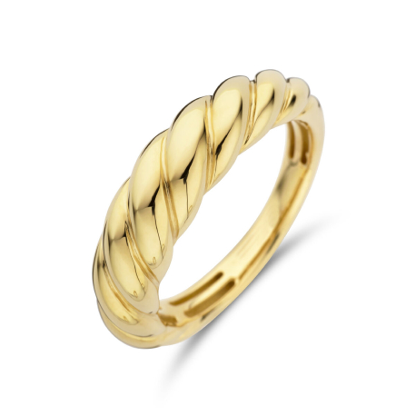  Gouden ring ref. 930101641100012